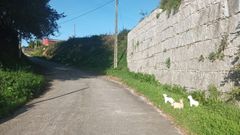 Cuatro figuras de la decoraci�n navide�a de las calles Fornos e Iglesia de Caldas aparecieron en A Canle