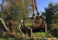 La entidad soneirana necesit� tres tractores para retirar los troncos y maleza del cauce. 