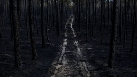 Incendios en Portugal