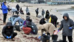 Una marea de voluntarios para limpiar de pélets las playas de A Coruña