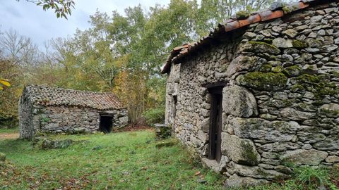 A mediados del siglo pasado, Os Sequeiros se llenaban de vida por el castaal