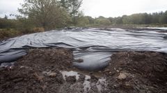 Imagen de una de las parcelas, cuyo olor se percibe a kil�metros de distancia