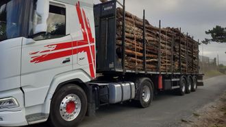 Cami�n cargado con madera en la zona rural de Ferrol.