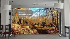 Ya est�n en marcha los preparativos del Congreso de la Mujer Rural que se celebra en La Viuda este fin de semana.