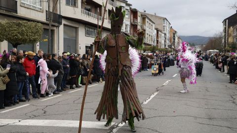 Desfile del domingo de entroido en Ver�n.