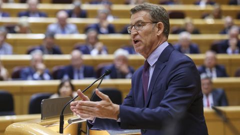 El presidente del PP, Alberto Nez Feijoo, durante su intervencin en el Senado