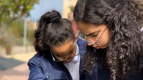 Los alumnos construyeron su propio hotel de insectos