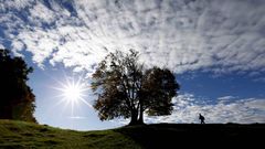 Un d�a soleado