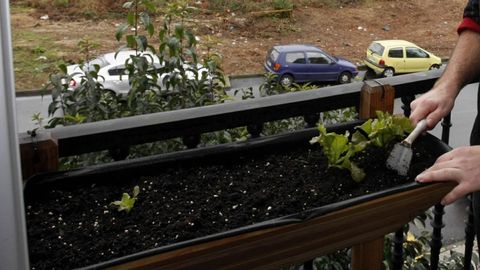 RAMON PAZ TIENE EN SU BALC�N DE MILLADOIRO UN HUERTO URBANO