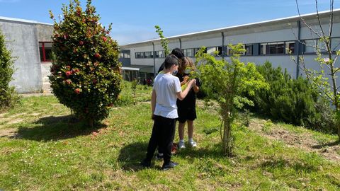 Alumnado del IES de Foz cuidando el huerto escolar, con cultivos y frutales