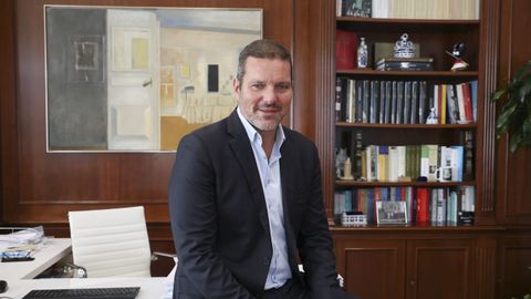 O conselleiro de Cultura, o pasado venres en Santiago, no seu despacho de San Caetano