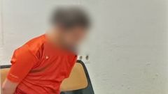 El detenido por la Guardia Civil es un vecino de Logro�o de 26 a�os.