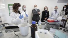 El conselleiro de Sanidade, Julio Garc�a Comesa�a, este mi�rcoles por la ma�ana en Lugo