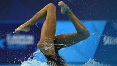 El �lbum del d�a