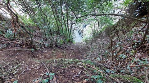 Lugar junto al mirador de Sada por el que se desplom� Mar�a al intentar rescatar a su perra