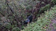 Un �rbol evit� que el coche cayera ladera abajo