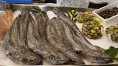 Merluzas frescas capturadas en Gran Sol en una pescadería de Viveiro