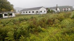 Estado actual de los terrenos en Mandi�.