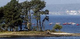 La flota se concentr� en Cortegada, ya que m�s hacia arriba �o �nico que hab�a era cuncha limpa�.