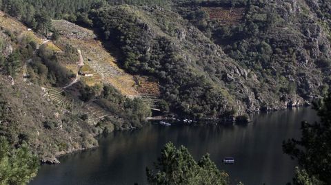 Vias en Os Chancs, donde se recogieron los datos del estudio