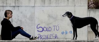 Ant�a �lvarez suele salir a pasear con su perra por el barrio de Navia, en el que reside. Aunque los galgos necesitan correr, al suyo le gusta m�s dormir. 