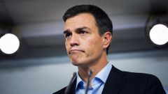 Pedro S�nchez: �Necesito tener a todo el partido detr�s�
