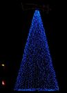 Un �rbol ilumina la iglesia.