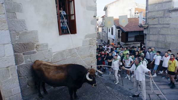 La salida del boi de las ocho de la maana en imgenes
