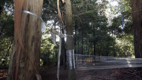 Chequeo en el entorno de la Capilla de San Ram�n de Bealo