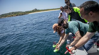 Nazareth D&iacute;az, coordinadora del proyecto Voz Natura, y Alejandro D&iacute;az, coordinador del comit&eacute; cient&iacute;fico de Voz Natura, en la embarcaci&oacute;n que los llev&oacute; al entorno de S&aacute;lvora para echar al mar las gorgonias y las laminarias