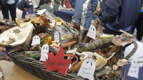 La Feira de Fungos e Cogomelos de As Pontes, en una imagen de archivo.