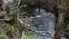 Alerta: �rboles ca�dos y maleza est�n formando una presa natural en Landrove