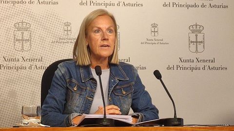 La diputada del PP en la Junta General Pilar Fernndez Pardo