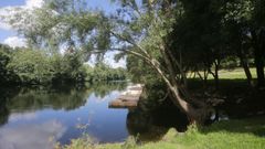 Se localizaron importantes colonias de mejillones de ro en el espacio elegido por el Concello para instalar la playa fluvial.