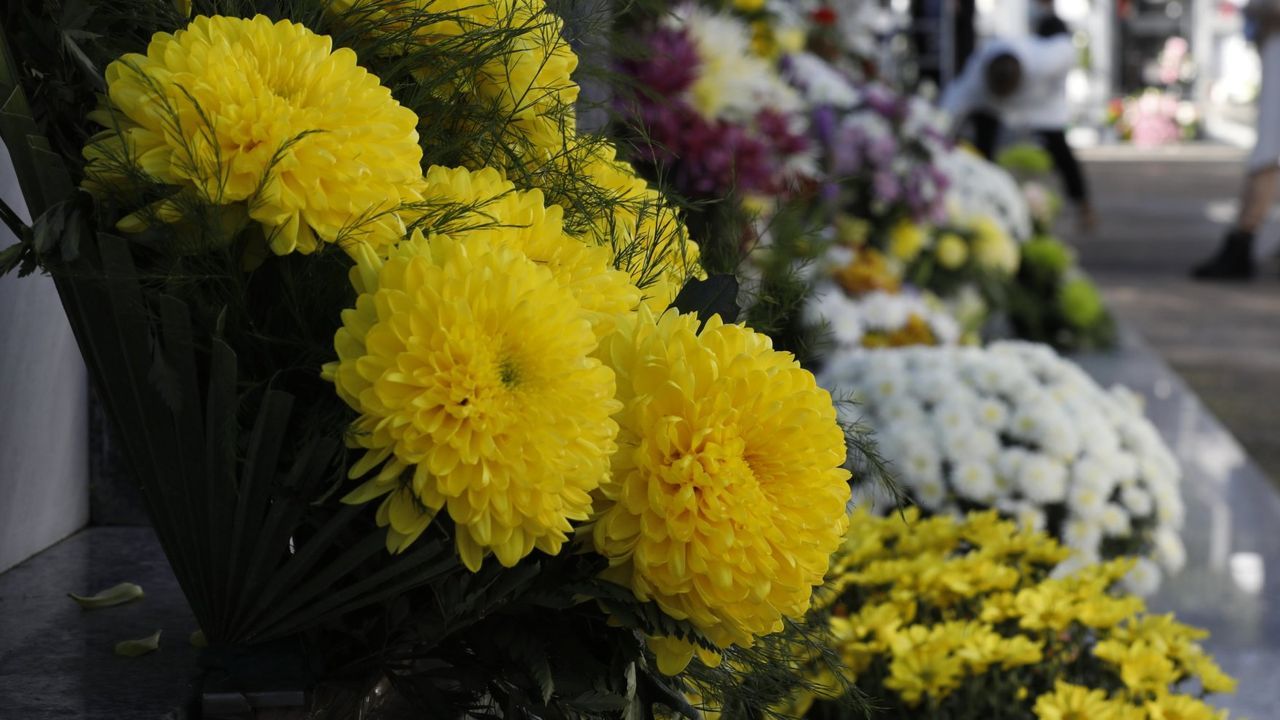 Dañan un nicho y violentan un féretro en un cementerio de Castropol
