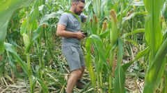 <span lang= gl >As� quedaron as fincas atacadas polo xabaril en Dodro</span>