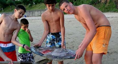 Unos ni�os hallaron la medusa en el mar en Perbes.