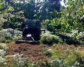 Un tractor corta desde ayer la maleza en el espacio natural. 