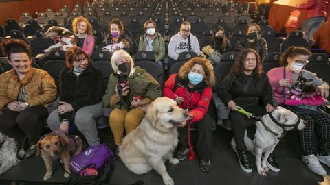 Los perros y sus due�os se acomodan en las butacas de la sala.