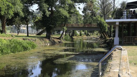 Recientemente se realizaron labores de limpieza, pero la mala depuracin del agua impide el bao