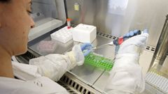 Imagen de archivo de una investigadora trabajando en el CiMUS