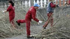 En la p�rdida de empleo joven influyen factores econ�micos y demogr�ficos