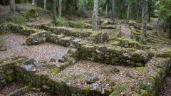 El yacimiento arqueol�gico de Santom�