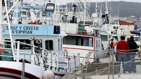 Pesqueros atracados en Burela, en una foto de archivo