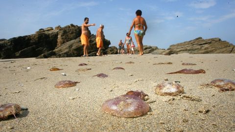 Medusas en una playa de Barreiros, en imagen de archivo