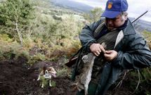 Benito Vidueiros sae dende novo o monte con varios dos seus vecinos a cazar coellos. 