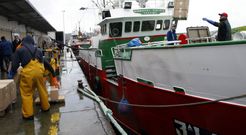 Palangreros de fondo, en el puerto de Celeiro, prepar�ndose para zarpar hacia Gran Sol. 