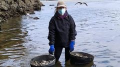 Las mariscadoras de O Barqueiro recibieron un homenaje por parte del Concello de Ma��n, en un acto celebrado el viernes