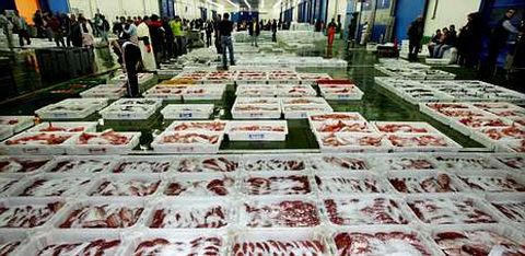Descarga de pescado en el puerto de Vigo, que aporta el 80 % del pescado que se exporta desde España.