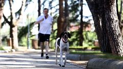 Rajoy, de paseo con su perro